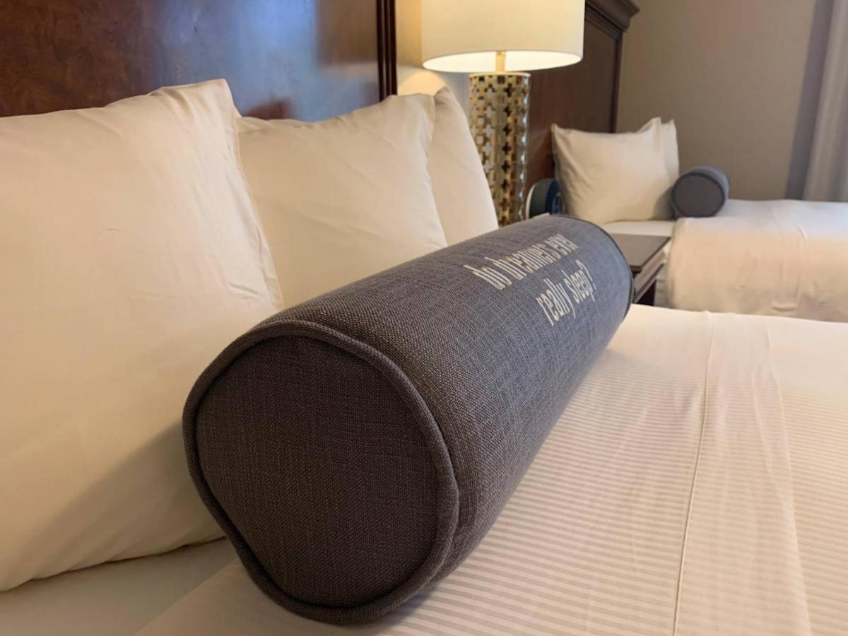 קהיר Heru Pyramids View Hotel מראה חיצוני תמונה
