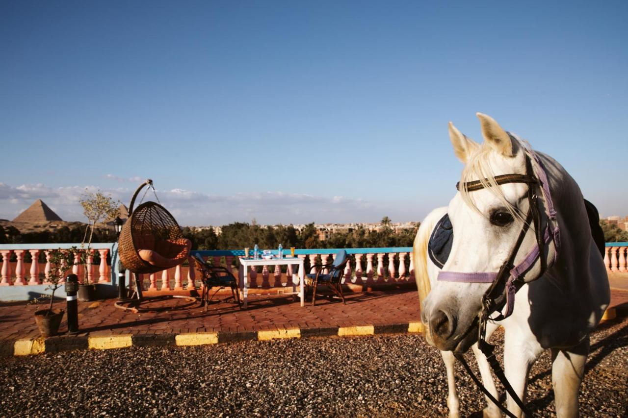 קהיר Heru Pyramids View Hotel מראה חיצוני תמונה